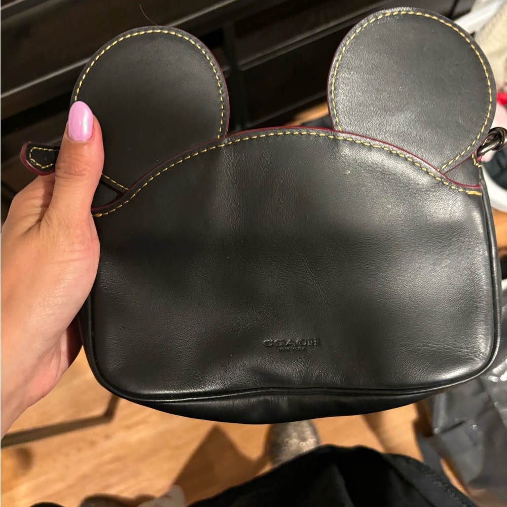 Coast Mickey wristlet